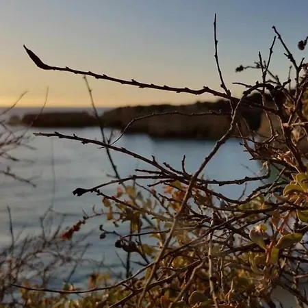 Albufeira, Ocean Terrace דירה *