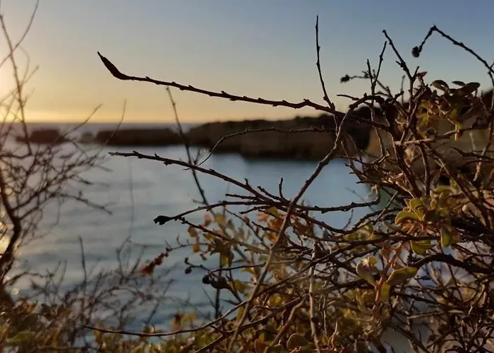 Albufeira, Ocean Terrace アパート *